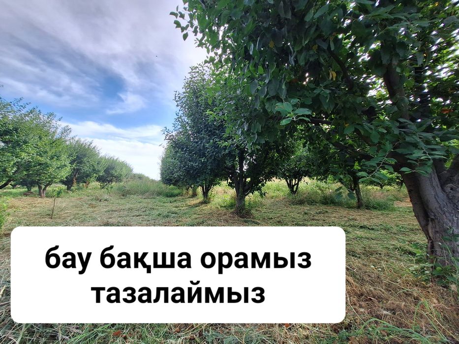 Шөп ору,  жинау , тазалау