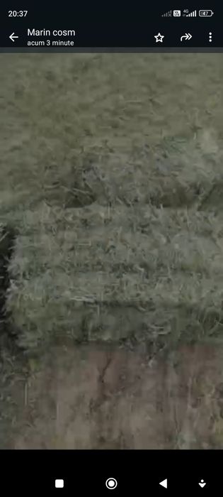 Baloți lucernă de vânzare