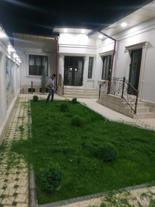 Gazon. Yovvoyi o't. Beda va xashak o'rish xizmati