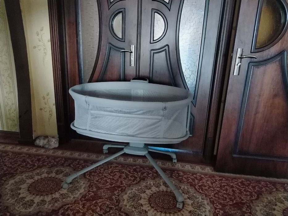 Lulka koravat holati yaxwi