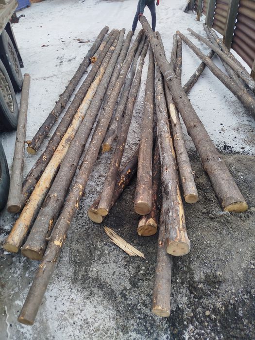 Борене,Балка,Сосна,Кругляк