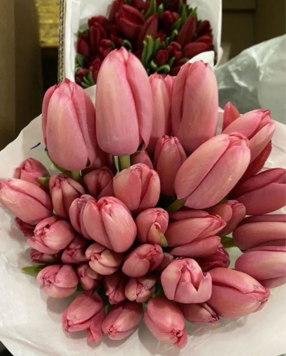 •Тюльпаны •Цветы бесплатная ДОСТАВКА