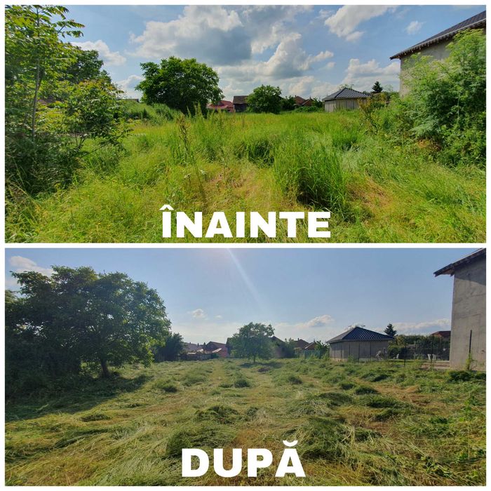 Tai , Tund Iarbă  Defrișări – intervenții rapide/servicii profesionale