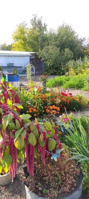 Дача 10 соток Общество «Ракета»