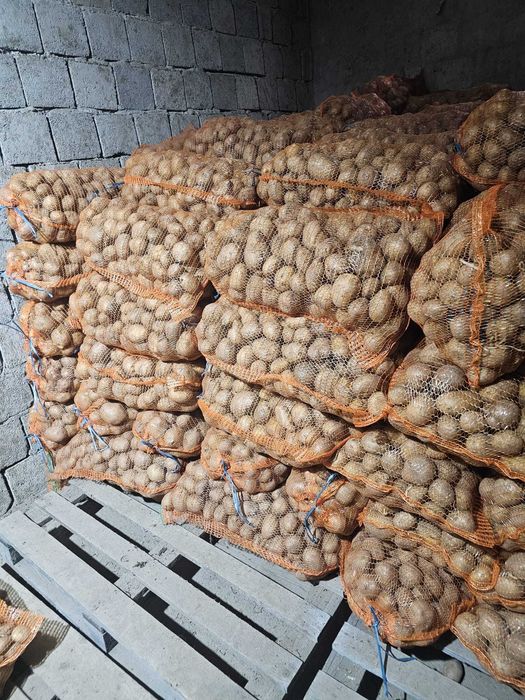 Cartofi consum alb carrera si rosu bellarosa +50 ambalat saci 25 kg