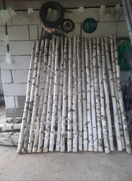 Lemn decorativ de mesteacan / Trunchi mesteacan / Rondele , felii lemn