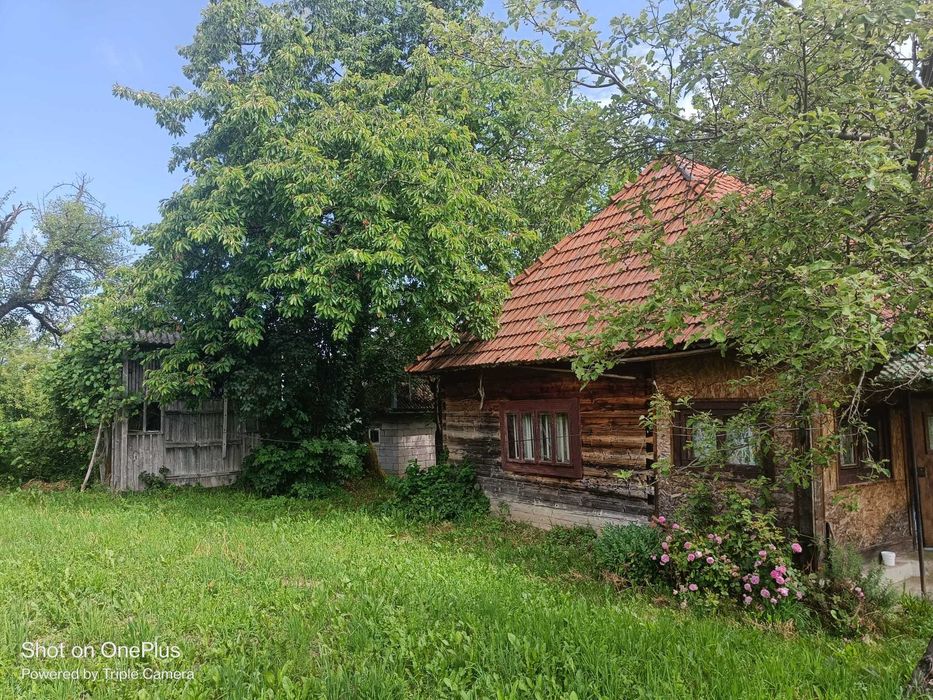 Casă tradițională din lemn + anexă, teren 58 ari, în Breb – zonă retrasă, ideală pentru relaxare sau investiție