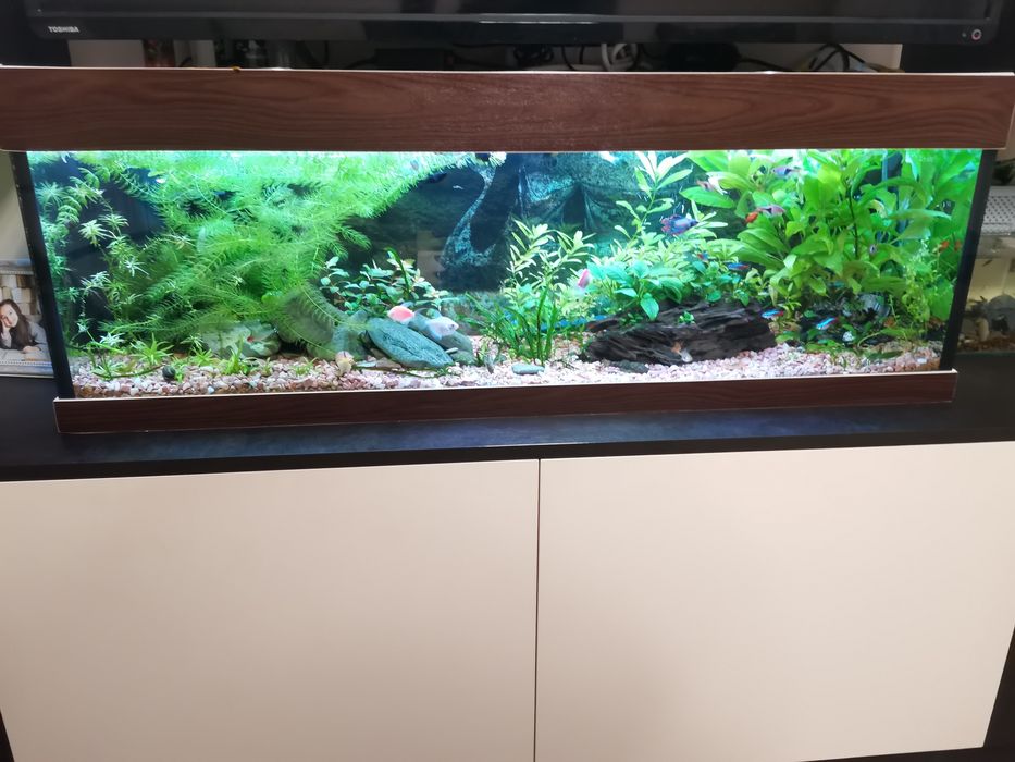Аквариум 100литра +