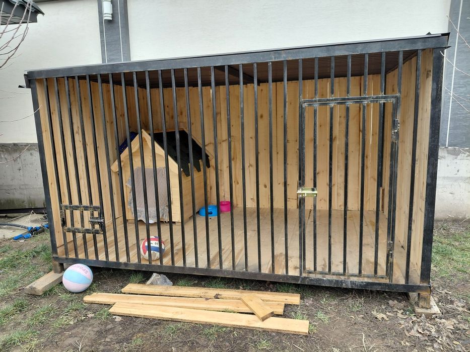 Доберман 2 месяца