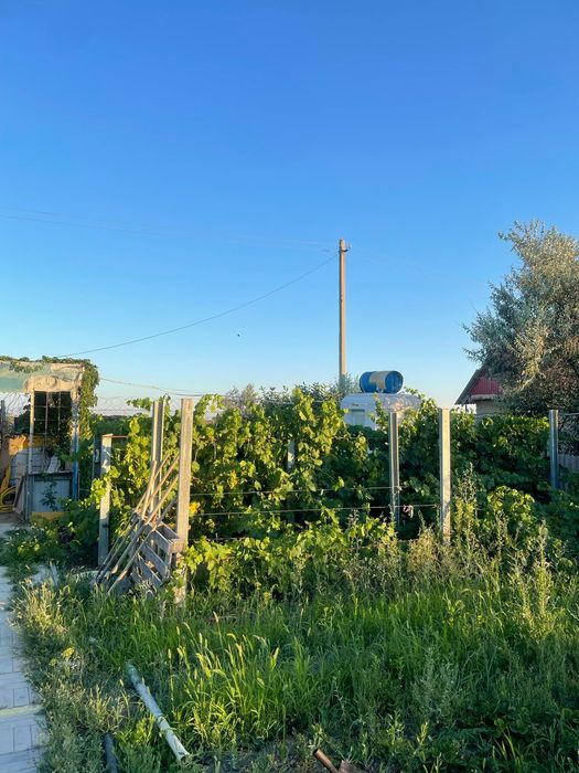 Дачный участок 10 соток