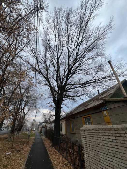 Губ тал сатылады