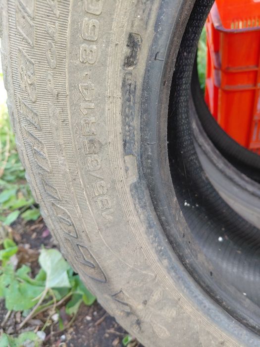Продам два баллона на 14