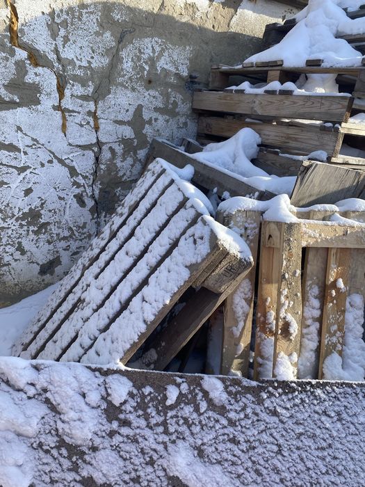 Палеты подоны житикара самовывоз