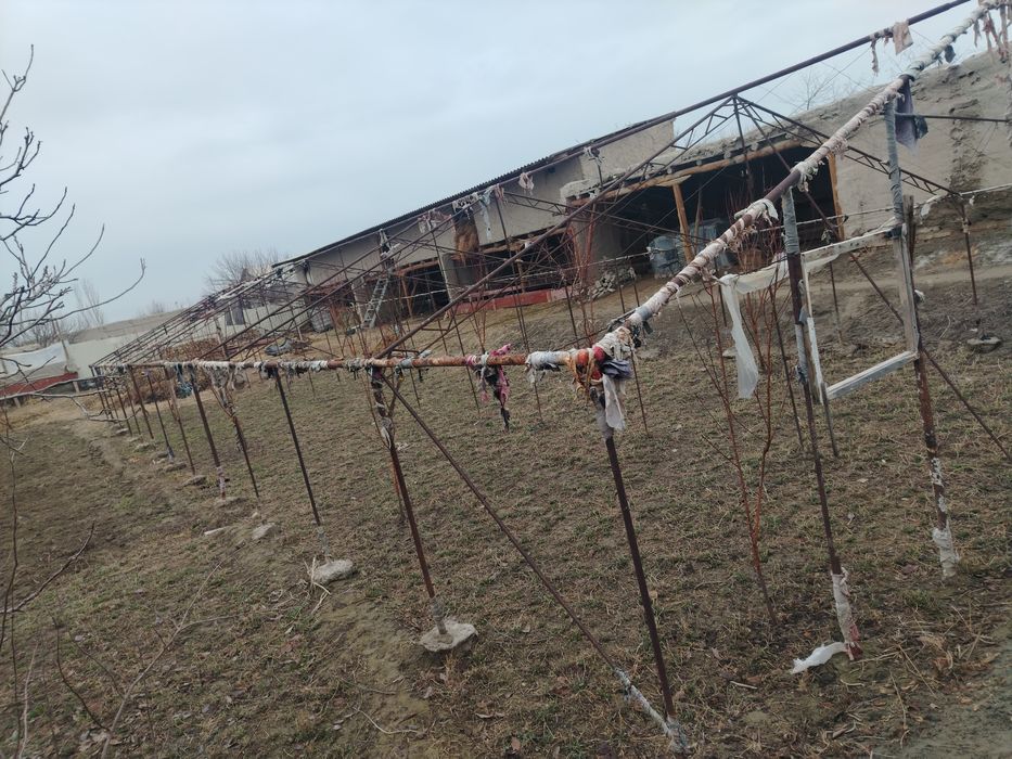 Парник сотилади тез арзон