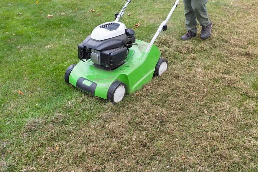 Scarificare gazon