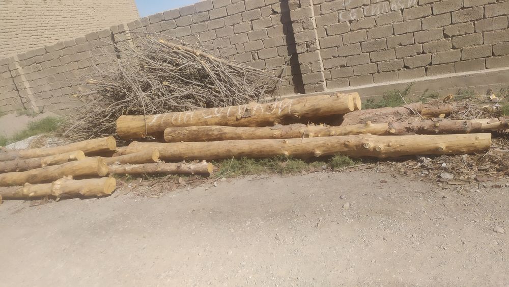 Utin sotiladi Qarshi tuman uzumzor maxallasi