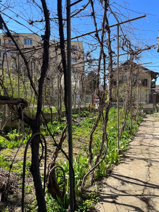 Vand casa cu curte si gradina in Turda, zona excelenta