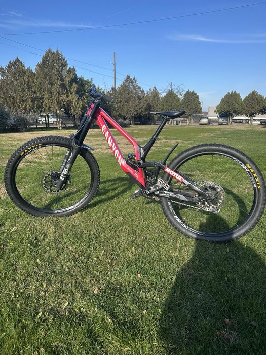 Canyon Sender 2024 Mullet