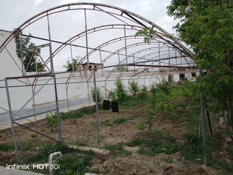 Типлица парник даромад