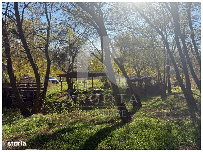 Teren Cozieni - Valea Banului | Comision Zero