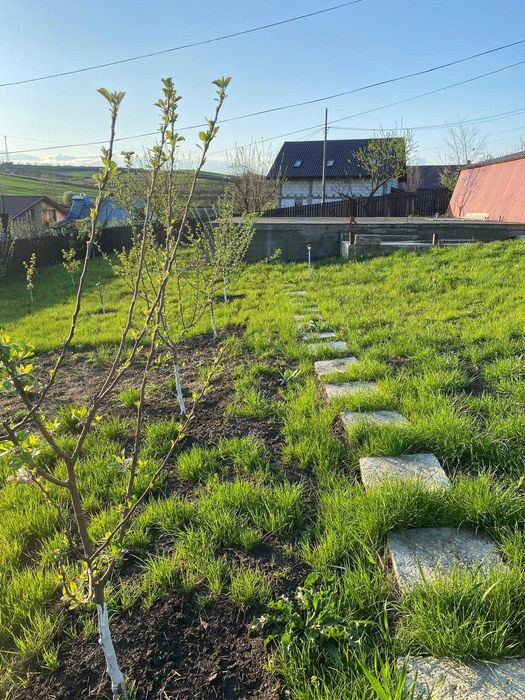 Casa de vacanta plus teren la 8 minute de Iasi