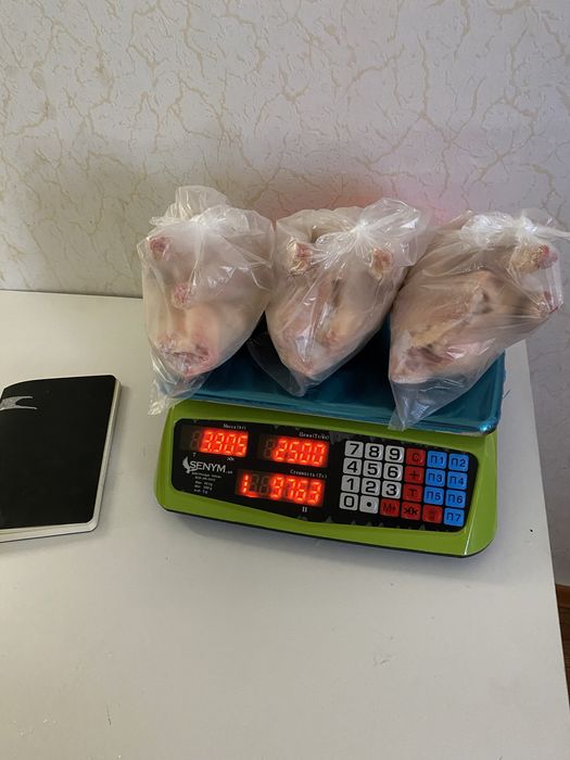 Куры Суповые Домашние