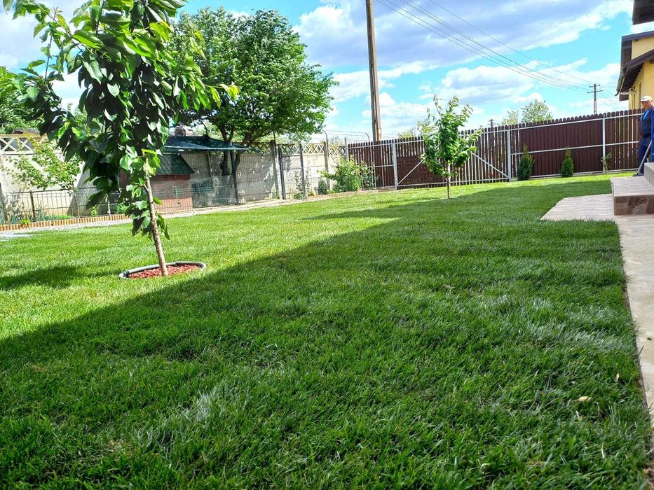 Amenajare curte,gazon rulou,insamantare