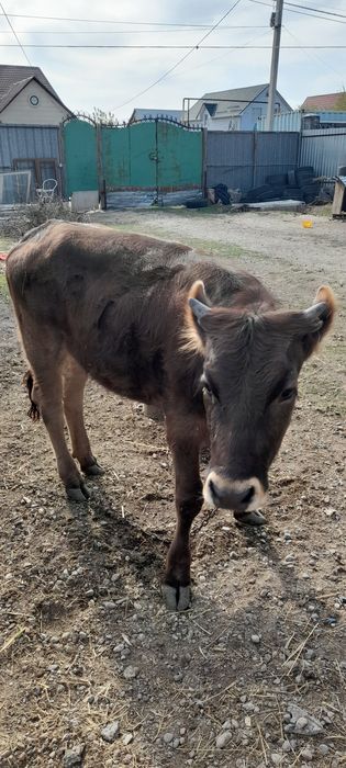 Срочно продам за 400000