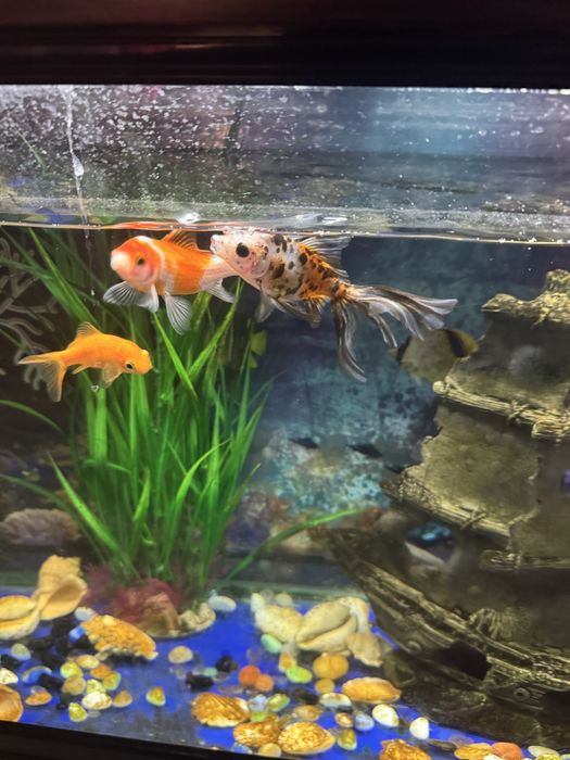 Аквариум 160 литр