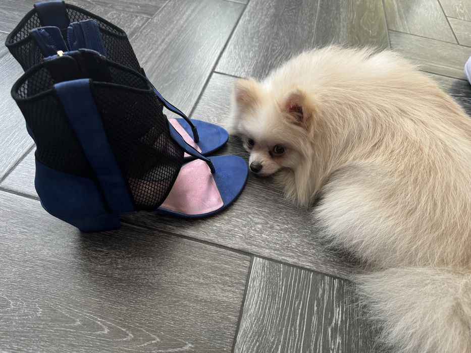 Sandale Giorgio Armani  deosebit de frumoase!