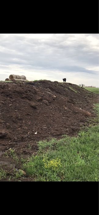 Gunoi de grajd putrezit