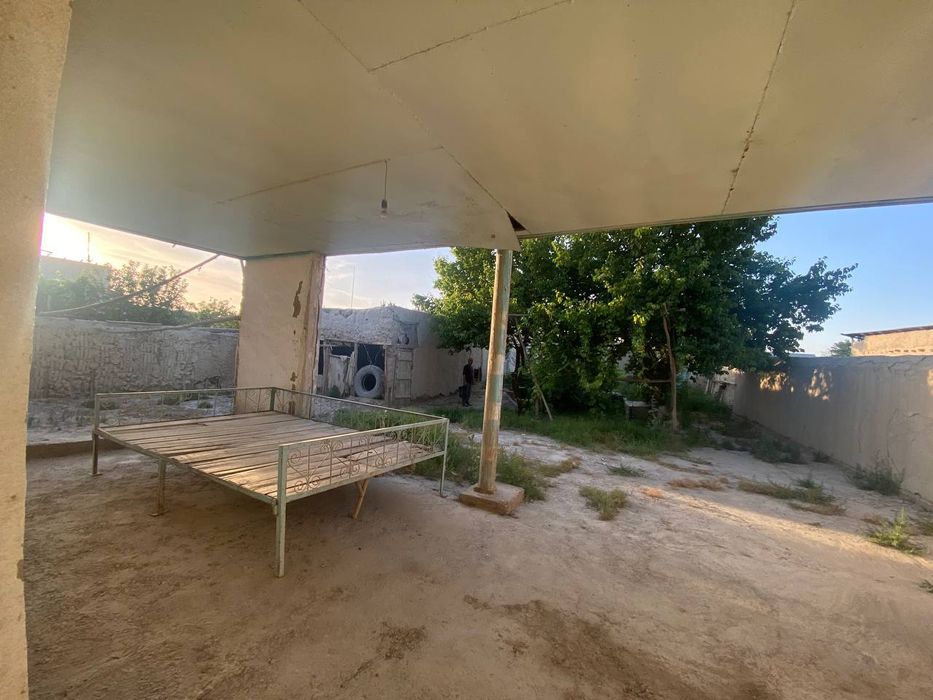 12 soʻtixli uchastka