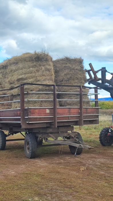 Продам прошлоголнее сено, луговое, пресс прф-145,