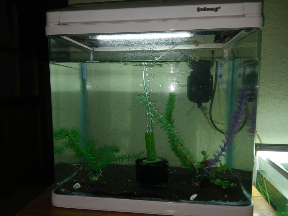 Продаётся Аквриум