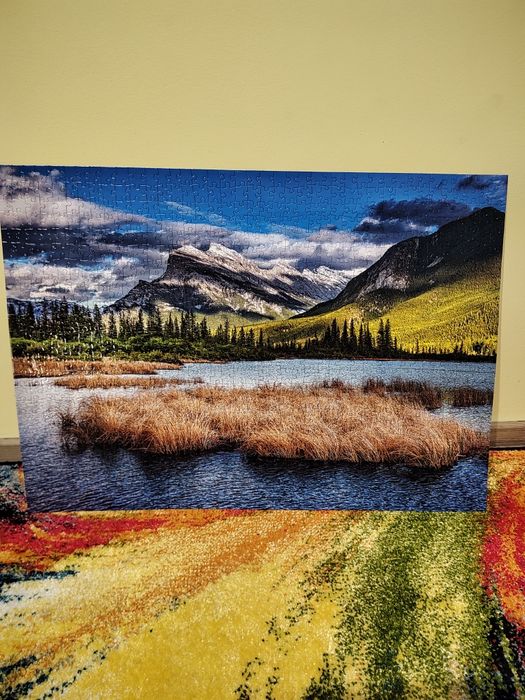 Tablouri puzzle neînrămate