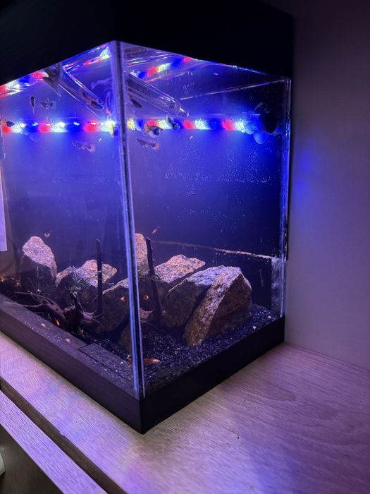 Продаи аквариум обьемом около 15 литров