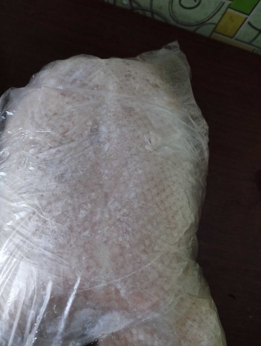 продам гусей домашних