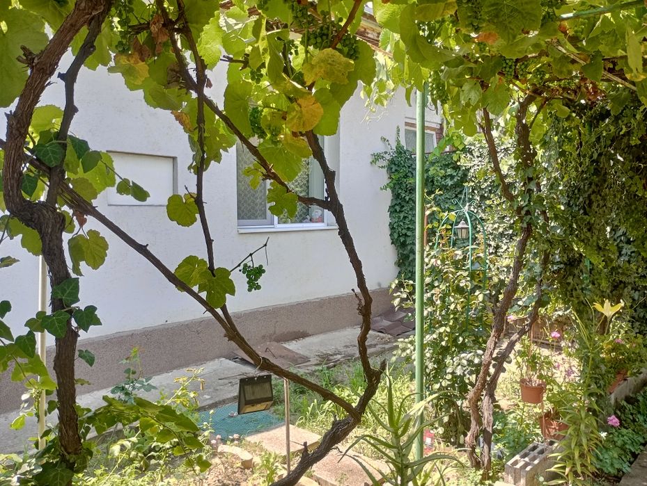 Apartament 4 camere(casă)curte comună Iosefin