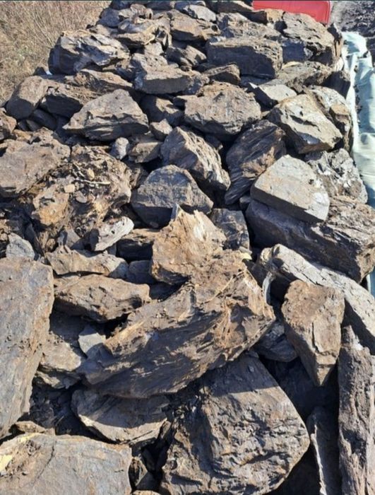 Cărbuni Berbești Vâlcea