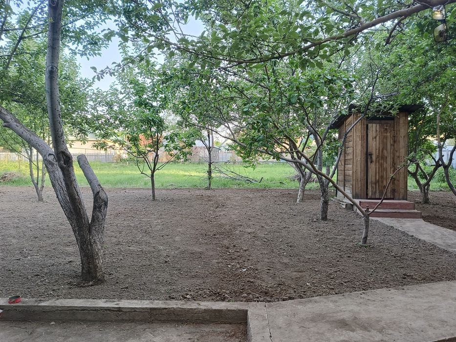 Поссев газона и Клевер