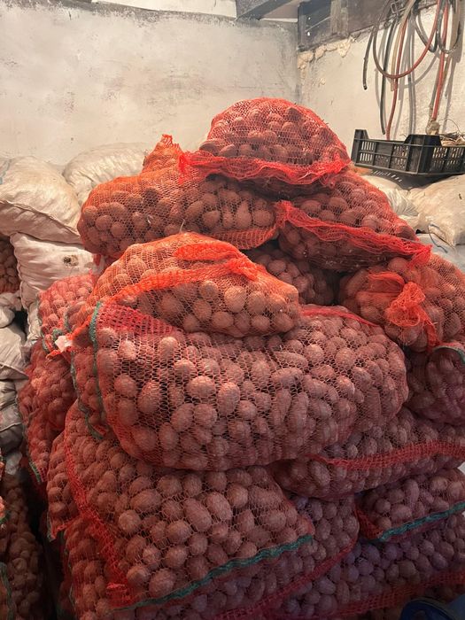 Vând cartofi de samanta !!!