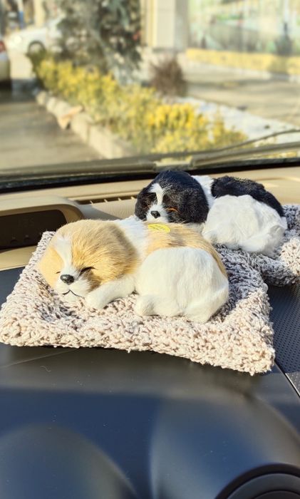 Милые щенки  как декор в авто подарок