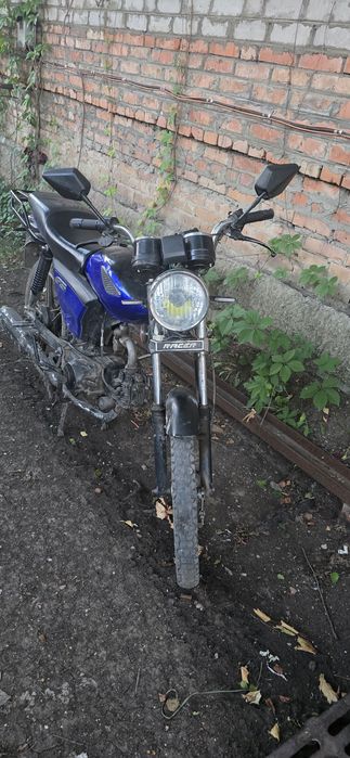 Alpha raser gs 125