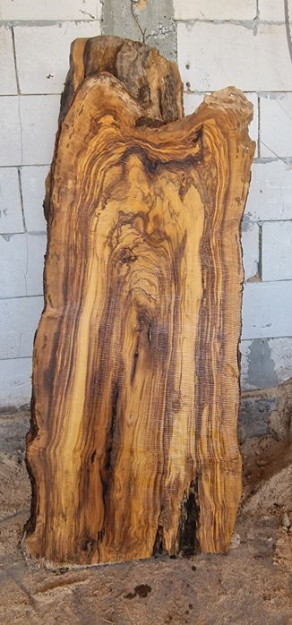 Blaturi uscate din lemn maslin