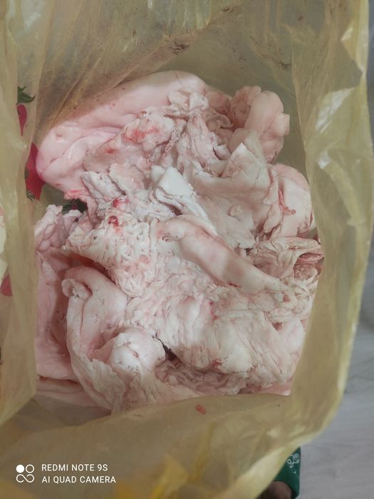 Барани жир свежий