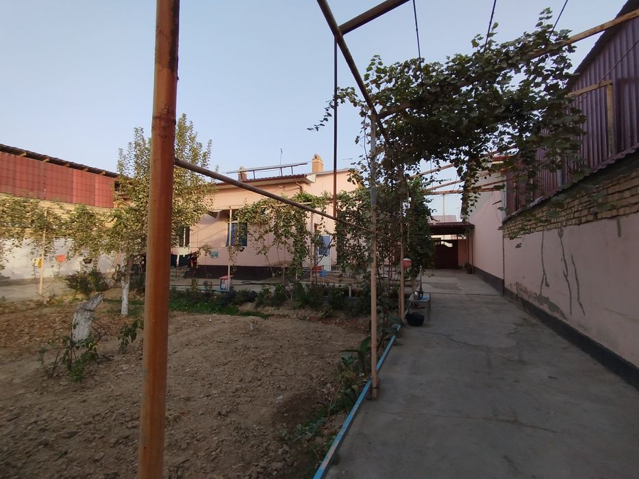 Yangiyoʻlda 6 sotokli  kotej sotiladi