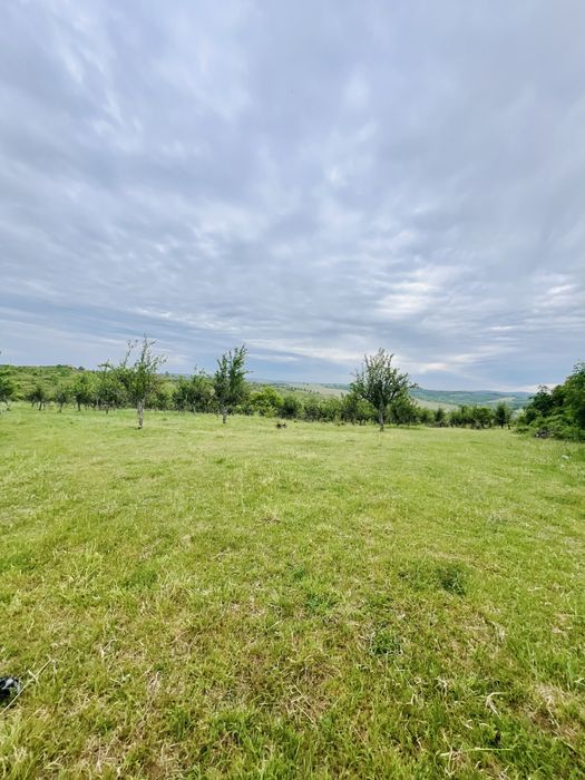 Teren de vanzare in Lipova 52,1 ha curent 20kv, fs 550 m drum betonat