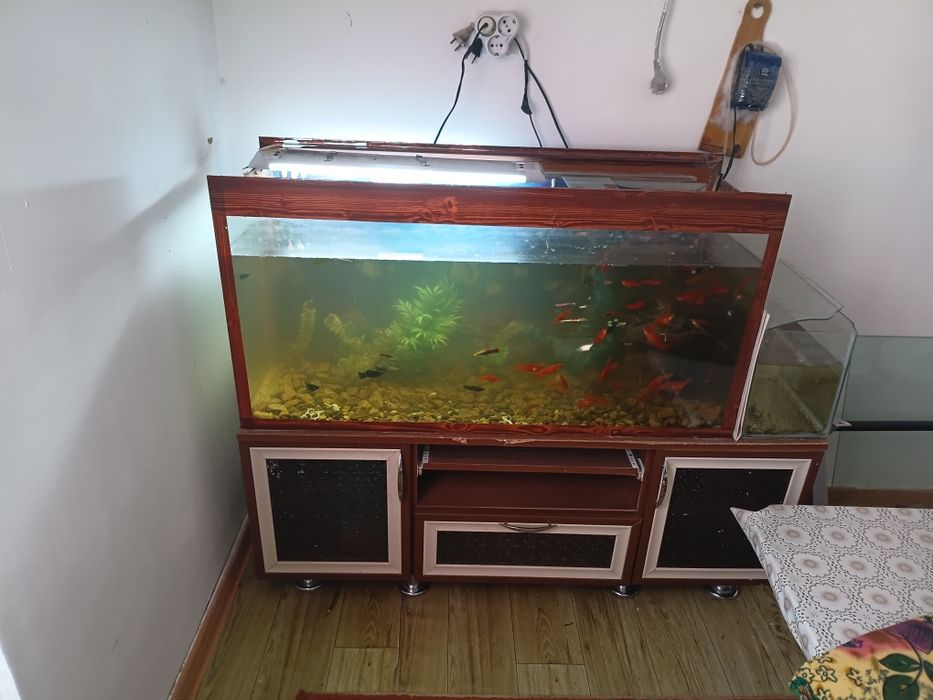 Аквариум Аквариум