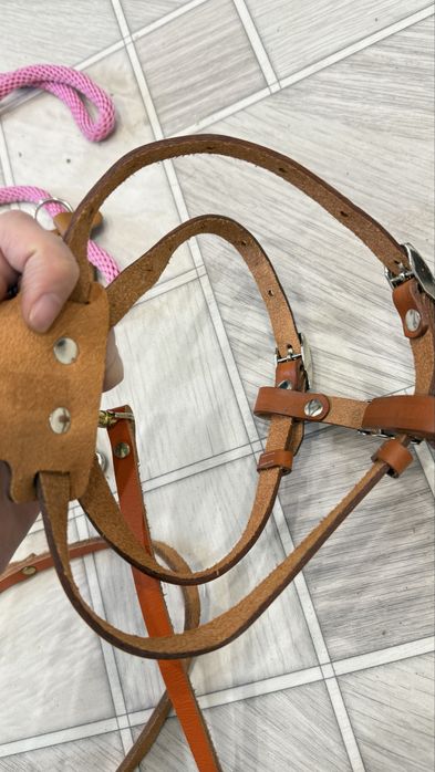 Кожаный ошейник corex для маленькой собаки либо для кошки