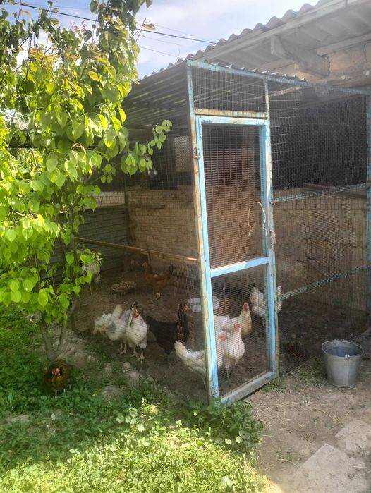 Дом на Шубарсу 12 соток